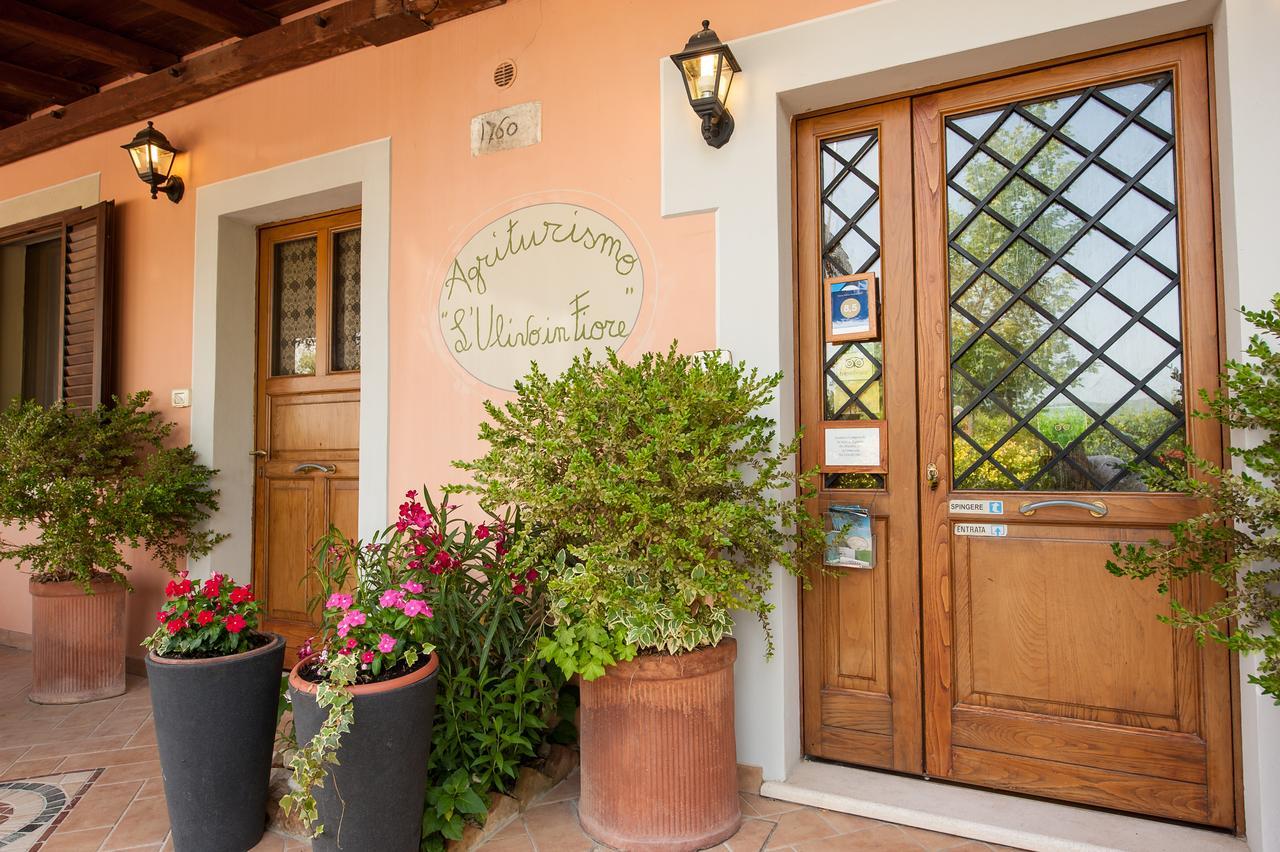Agriturismo L'Ulivo In Fiore Spoleto Kültér fotó